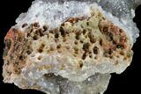 Quartz Crystal Geode Section - Morocco #141776-3